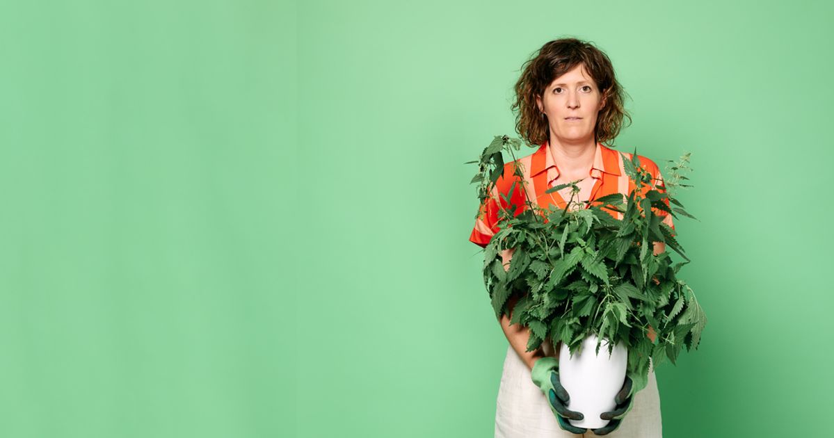 Janneke de Bijl — Pluk eventueel de dag